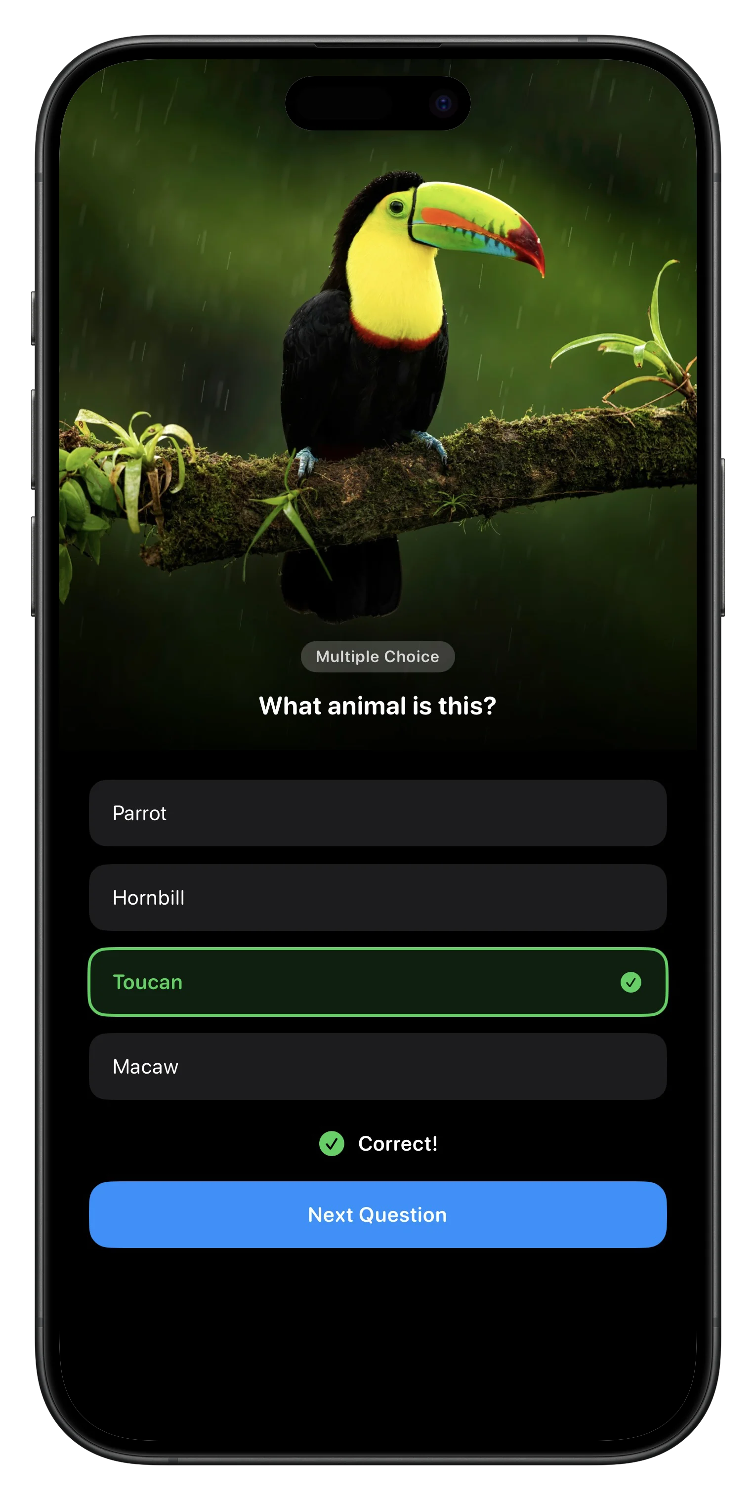 Fauna Quiz Screenshot